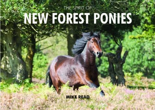 Beispielbild fr The Spirit of New Forest Ponies zum Verkauf von WorldofBooks