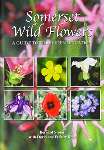 Stock image for Somerset Wild Flowers: A guide to their identification for sale by Summerfield Books BA