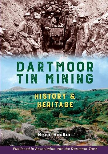 Beispielbild fr Dartmoor Tin Mining zum Verkauf von Blackwell's