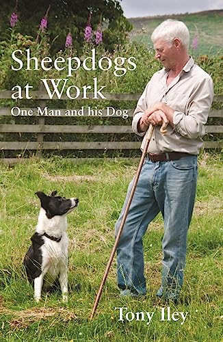 9780857160201: Sheepdogs at Work: One Man and His Dogs