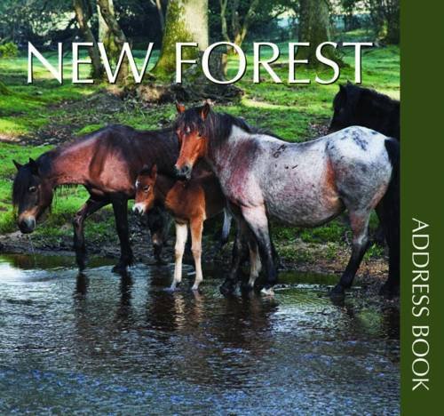Imagen de archivo de New Forest Address Book a la venta por WorldofBooks