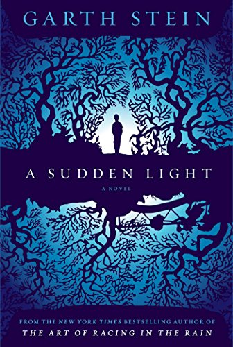 9780857205766: A Sudden Light