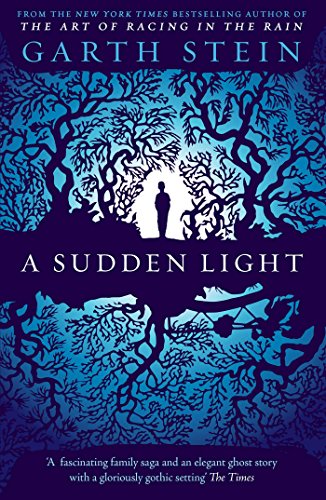 Stock image for A Sudden Light for sale by WorldofBooks