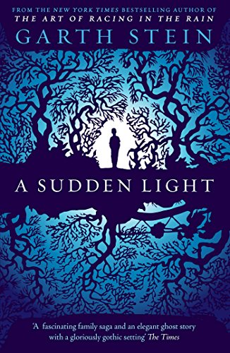 A Sudden Light (9780857205773) by [???]