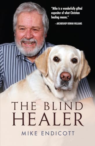Imagen de archivo de THE BLIND HEALER a la venta por Revaluation Books