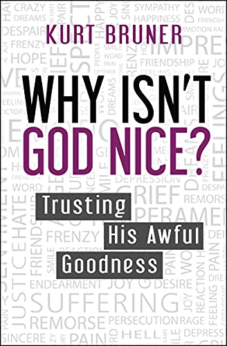 Beispielbild fr Why Isn't God Nice?: Trusting His Awful Goodness zum Verkauf von WorldofBooks