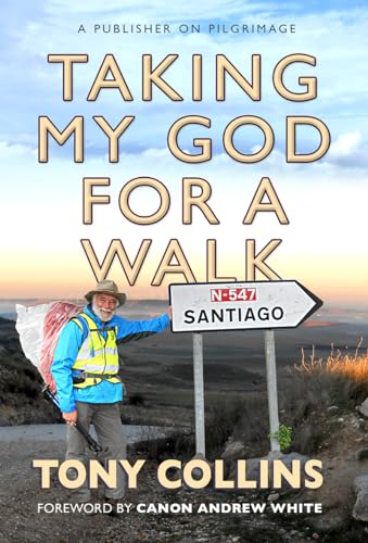 Stock image for Taking My God for a Walk for sale by Blackwell's