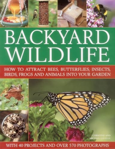 Imagen de archivo de Backyard Wildlife: How to Attract Bees, Butterflies, Insects, Birds, Frogs and Animals into Your Garden a la venta por AwesomeBooks