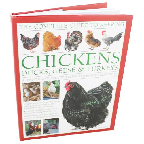 9780857235510: The Complete Guide To Keeping Chickens Ducks Geese And Turkeys