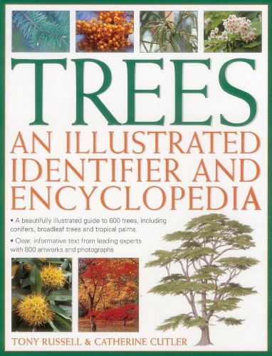 Imagen de archivo de Trees : An Illustrated Identifier and Encyclopedia - A Beautifully Illustrated Guide to 600 Trees, Including Conifers, Broadleaf Trees and Tropical Palms a la venta por Better World Books