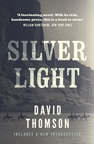 Beispielbild fr Silver Light zum Verkauf von WorldofBooks