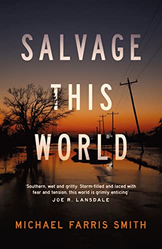 Beispielbild fr Salvage This World zum Verkauf von WorldofBooks