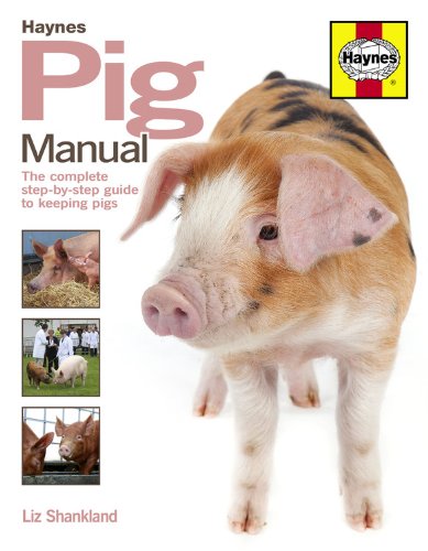 Pig Manual: The Complete Step-By-Step Guide to Keeping Pigs