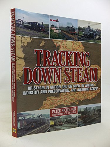 Imagen de archivo de Tracking Down Steam: BR Steam in action and on shed, in works, industry and preservation, and awaiting scrap a la venta por AwesomeBooks
