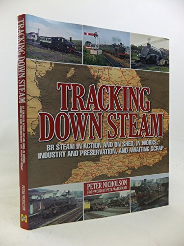 Stock image for Tracking Down Steam: BR Steam in action and on shed, in works, industry and preservation, and awaiting scrap for sale by AwesomeBooks