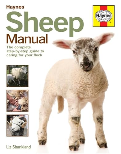 Stock image for Haynes Sheep Manual: The Step-by-Step Guide to Caring for Your First Flock for sale by Revaluation Books