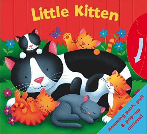 Beispielbild fr Board Book - Little Kitten - Baby Book (Igloo Books Ltd) (Who am I?) zum Verkauf von WorldofBooks