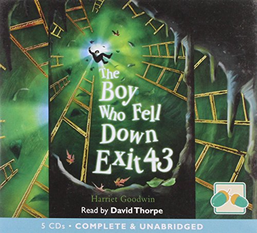 Stock image for The Boy Who Fell Down Exit 43 for sale by Stephen White Books