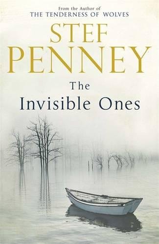 9780857382931: The Invisible Ones