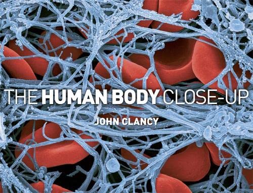 Beispielbild fr The Human Body Close-up zum Verkauf von WorldofBooks