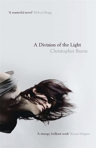 Beispielbild fr A Division of the Light: A Novel zum Verkauf von Hourglass Books