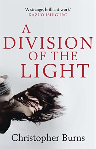 Beispielbild fr A Division of the Light zum Verkauf von Better World Books