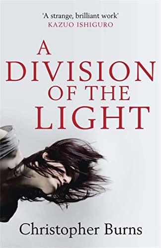 Stock image for A Division of the Light for sale by Better World Books