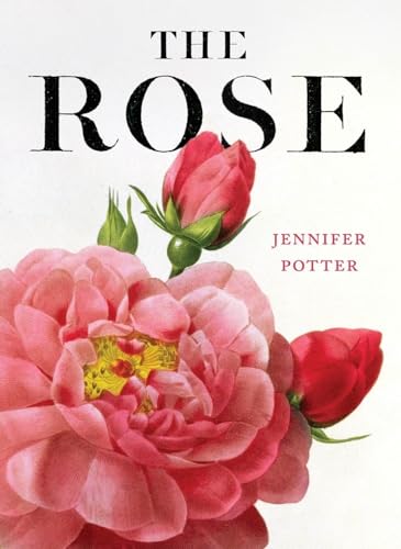 Stock image for The Rose for sale by WorldofBooks