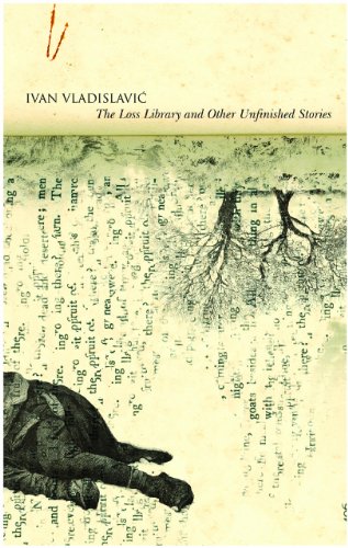 9780857420121: The Loss Library and Other Unfinished Stories