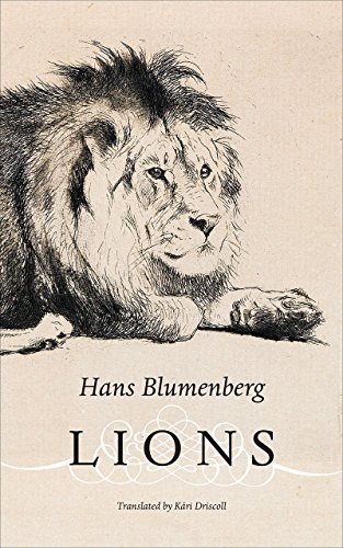 Stock image for Lions for sale by Blackwell's