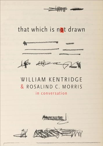 9780857424457: That Which Is Not Drawn: In Conversation (The Africa List)