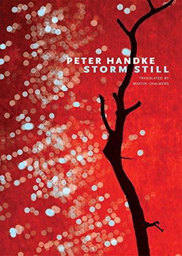 Stock image for Storm Still for sale by Better World Books: West