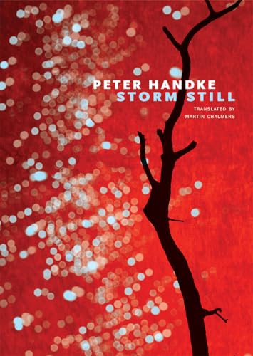 Stock image for Storm Still for sale by Better World Books