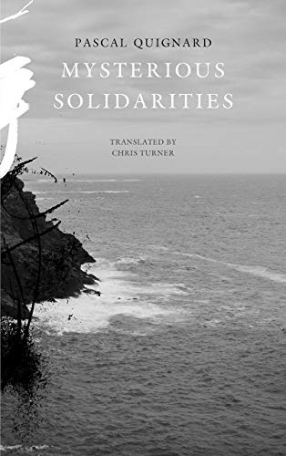 9780857427397: Mysterious Solidarities (The French List)
