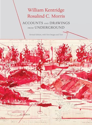 9780857428523: Accounts and Drawings from Underground: The East Rand Proprietary Mines Cash Book (Africa List)