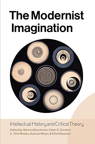 9780857453075: The Modernist Imagination: Intellectual History and Critical Theory: Essays in Honor of Martin Jay