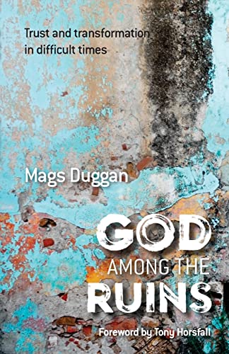 Stock image for God Among the Ruins: Trust and transformation in difficult times for sale by BooksRun