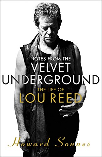 9780857522672: Notes from the Velvet Underground: The Life of Lou Reed