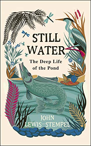 Imagen de archivo de Still Water: The Deep Life of the Pond a la venta por WorldofBooks
