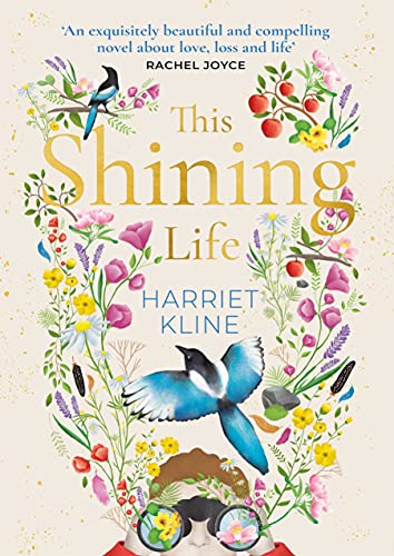 Beispielbild fr This Shining Life: a powerful novel about treasuring life zum Verkauf von WorldofBooks