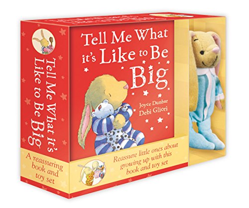 9780857532053: Tell Me What It's Like To Be Big: Book & Toy Set