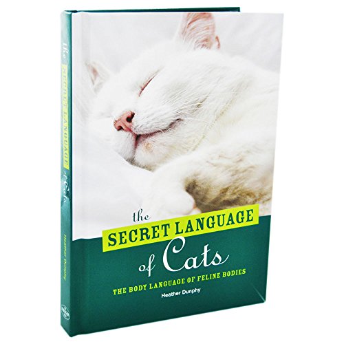 Stock image for Secret Language of Cats for sale by AwesomeBooks