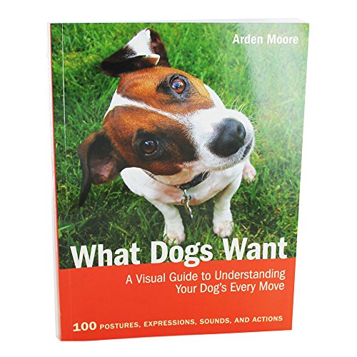 Beispielbild fr What Dogs Want zum Verkauf von AwesomeBooks