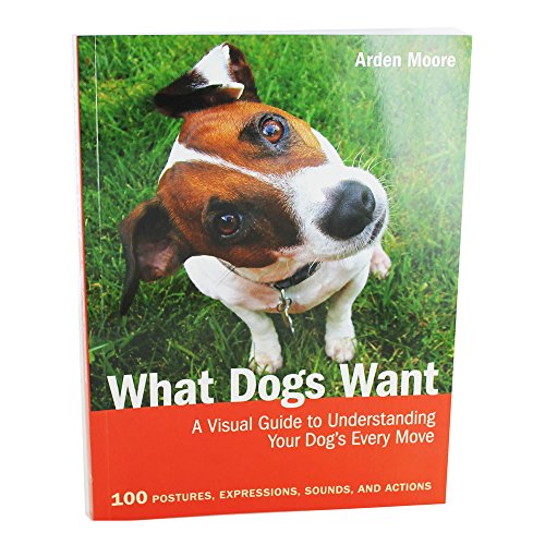 9780857623324: What Dogs Want