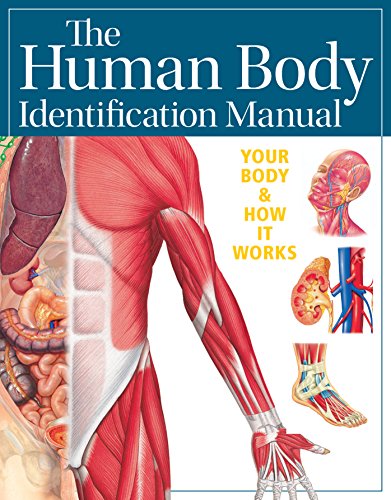 Beispielbild fr Human Body Identification Manual (Academic Edition) zum Verkauf von WorldofBooks