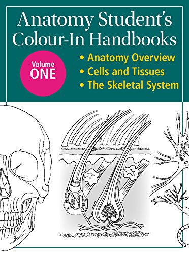 Stock image for Anatomy Student's Colour-In Handbooks: Volume Two: The Muscular System; The Digestive System for sale by WorldofBooks