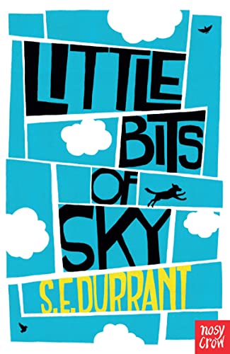 Beispielbild fr Little Bits of Sky zum Verkauf von WorldofBooks
