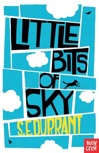 Imagen de archivo de Little Bits of Sky a la venta por WorldofBooks