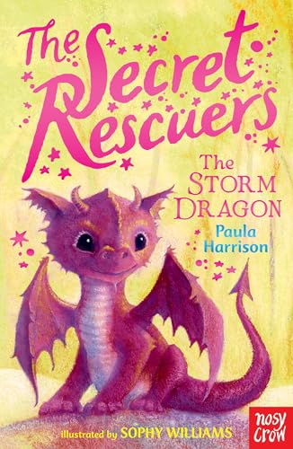 Beispielbild fr The Secret Rescuers: The Storm Dragon zum Verkauf von SecondSale