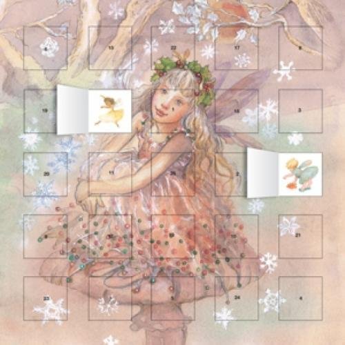 9780857757869: Snow Fairy advent calendar (with stickers)